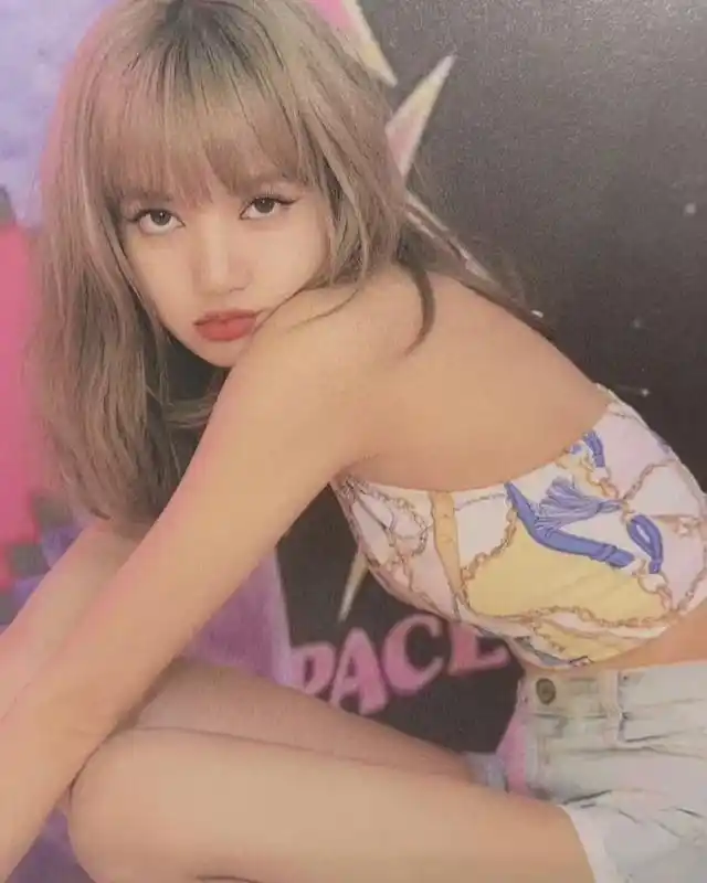 白莲花度假村第三季_莲花乡村度假村_莲花度假山庄