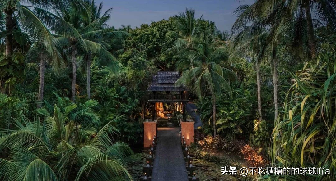 莲花度假酒店官网_莲花度假村门票价格_白莲花度假村