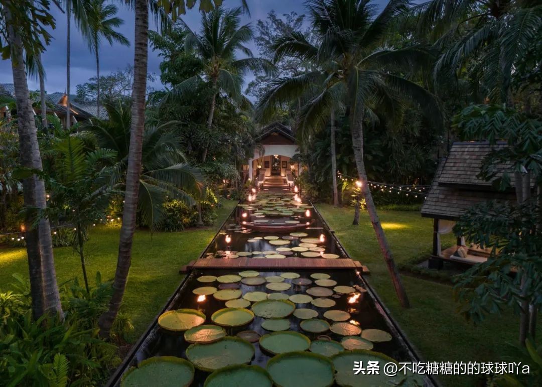 白莲花度假村_莲花度假村门票价格_莲花度假酒店官网